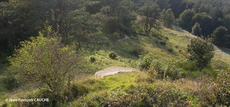 Camping Le Cote D'Opale Cucq Exterior photo